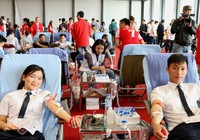 Hiến máu tình nguyện - những điều cần biết