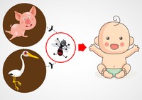 4 bước phòng dịch viêm não Nhật Bản mùa hè