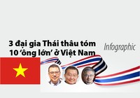 3 đại gia Thái thâu tóm 10 'ông lớn' ở Việt Nam