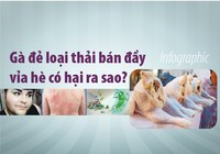 Thịt gà đẻ loại thải bán đầy vỉa hè có hại ra sao?