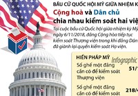 Cán cân quyền lực 2 đảng thay đổi thế nào sau bầu cử Mỹ?