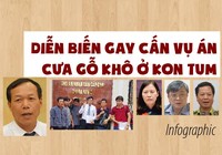Diễn biến gay cấn vụ án cưa gỗ khô ở Kon Tum
