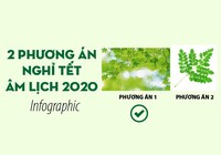 2 phương án nghỉ Tết âm lịch 2020