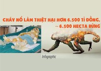 Cháy nổ làm thiệt hại hơn 6.500 tỉ đồng, gần 6.500 ha rừng
