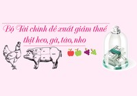 Thịt heo, gà... Mỹ nhập về Việt Nam sắp được giảm thuế