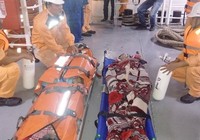 4 thuyền viên ngạt khí dưới hầm tàu cá ngoài biển Vũng Tàu