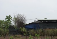 Sống gần lò than, cả thôn bị ảnh hưởng