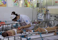 Chủng virus khiến 150 người chết đã quay lại