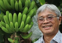 Ông trùm chuối Việt: ‘Tôi khởi nghiệp tới 25 lần!’