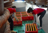 Vụ tiêu chuẩn về nước mắm: Tạm dừng, rồi sao nữa?