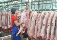 Giá thịt heo tăng sốc, khan hiếm