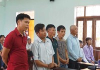 Lý giải của Tòa Cấp cao Đà Nẵng về vụ cưa gỗ khô
