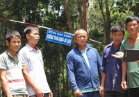 Báo động xét xử bất nhất hành vi cưa cây rừng