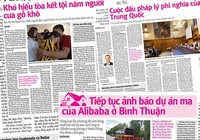 Vụ cưa gỗ khô: Tòa xử có vì công lý?