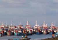 Ứng phó trò khai thác chung kiểu Trung Quốc ở biển Đông