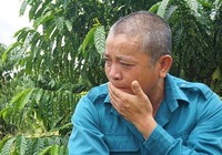 Vụ gỗ khô: Tòa lệnh bảy ngày nữa hai người phải đi tù