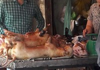 Bỏ ăn thịt chó từ khi thấy chó chảy nước mắt