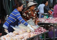Giải cứu gà giá rẻ: Cách nào?