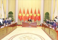 Tổng bí thư, Chủ tịch nước tiếp các đại sứ trình quốc thư