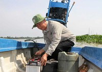 Lão nông cù lao chuyển bệnh bằng tắc ráng