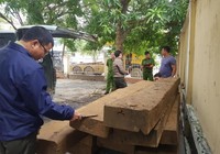 Tháo hết ghế trên ô tô khách để chở gỗ lậu