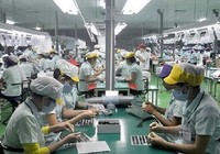 20 lao động Việt có cơ hội làm việc tại Đài Loan