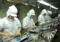 TP.HCM phụ cấp tối đa 1 tỉ đồng cho người có tài năng đặc biệt
