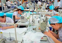 Thế nào là hành vi quấy rối tình dục nơi làm việc?