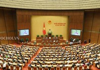Đề nghị Chính phủ phê bình 11 tỉnh
