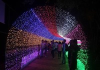 Ùn ùn 'check in' lễ hội ánh sáng đầu tiên ở Đắk Lắk