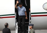 Cựu tổng thống Bolivia đã 'hạ cánh an toàn' tới Mexico