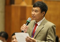 'Hải quan Mỹ triệu tập nhiều doanh nghiệp gỗ'