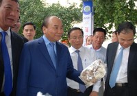 Thủ tướng tham quan triển lãm 10 năm xây dựng nông thôn mới