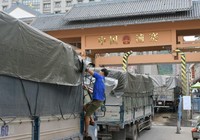 Giải pháp nóng tránh ùn ứ nông sản bán sang Trung Quốc