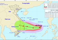 Thủ tướng yêu cầu ứng phó khẩn cấp với bão số 6
