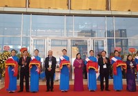 Bụi mịn có thể gây đột quỵ não, bệnh về tim mạch