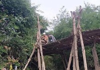 Bình Thuận yêu cầu kiểm tra vụ người chết do lọt cầu