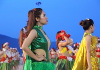 Đà Nẵng kêu gọi “Nói không với rác thải nhựa”