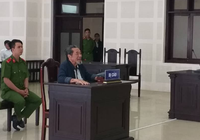 Cụ ông 83 tuổi lãnh án vì giả thông báo của lãnh đạo Đà Nẵng