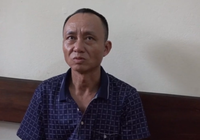 Tạm giam 3 người đàn ông đốt ong lấy mật gây cháy rừng