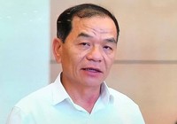 ĐBQH Lê Thanh Vân lên tiếng về vụ tát học sinh