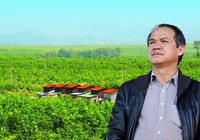 Bầu Đức muốn có thêm tiền trồng ớt, chuối… nhưng bất thành