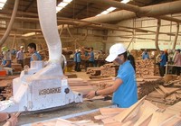 ‘Stop’ nhập gỗ dán vào Việt Nam để tránh bị Mỹ trừng phạt