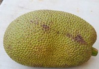 Trộm 1 trái mít, lãnh hơn 2 năm tù