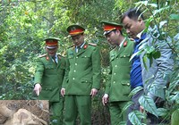 2 cảnh sát có nguy cơ phơi nhiễm HIV khi bắt kẻ trộm sưa