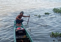 Phóng sinh: Khi từ tâm bị kẻ gian lợi dụng