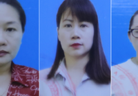 Bắt giam thêm 3 nữ giáo viên vụ gian lận điểm ở Hòa Bình