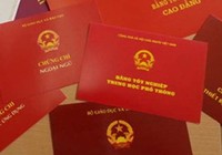 Cách chức nữ chủ tịch xã xài bằng giả
