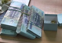 Bình Dương: Người giúp việc lấy trộm hơn 270 triệu đồng