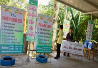 Công ty Đẳng Cấp ĐBSCL bán chui vé du lịch Cồn Sơn